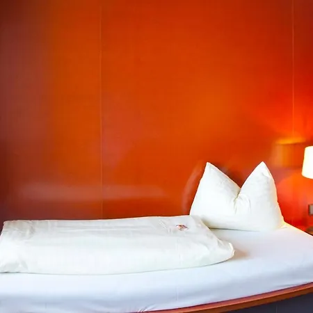 Hotel Rosenberger Motor-hotel Ansfelden